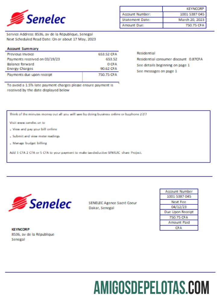 Senelec Agence Sacré Coeur Company Projeto de lei de serviços públicos de eletricidade, SCR exemplo real
